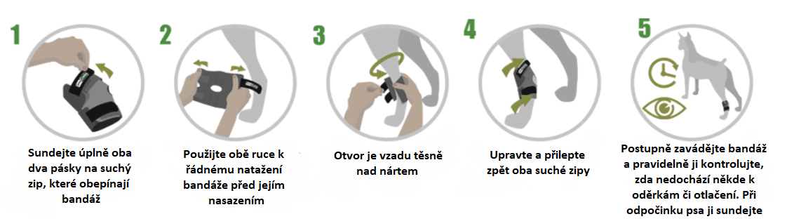 hlezbandinst