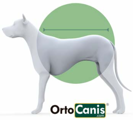 oblečekskeč