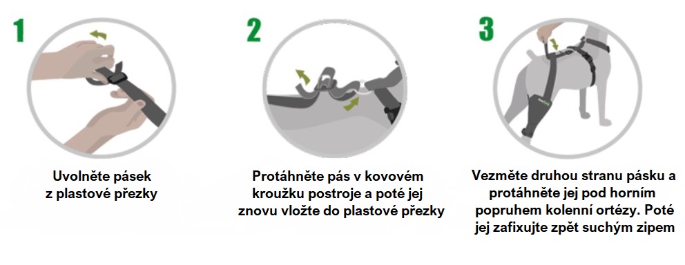 př_kol_ort