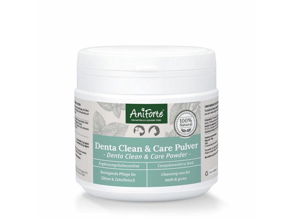 DentaCleanandCare Pulver Produktbild 300g 1200x1200px ReDesign 2021 1200x1200jpeg