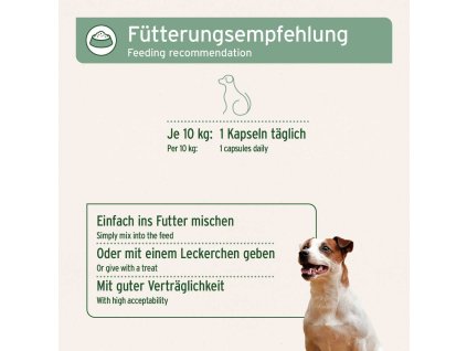Weihrauchkapseln Galeriebilder 1200x1200px Produktbild 1200x1200jpeg