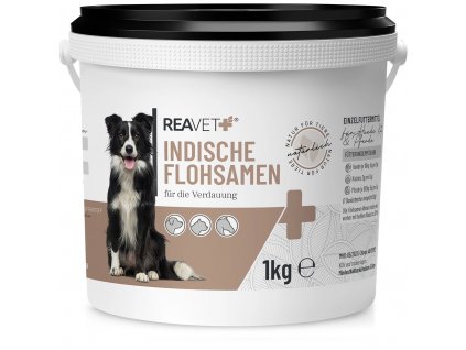 indische flohsamen 1kg