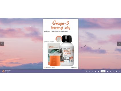 Snímek obrazovky 2024 03 14 183136