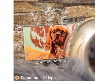 Sněhová vločka (vánoční ozdoba) s vlastním fotem - Ø 14 cm