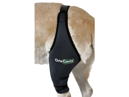 dog knee brace (3)