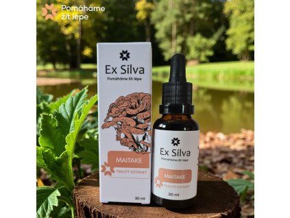 ex-silva-maitake-pes-kocka-30ml