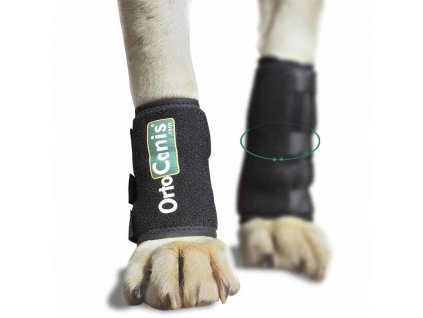 dog carpal wrap (6)