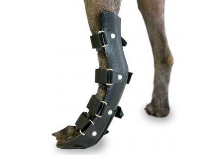 rear leg splint