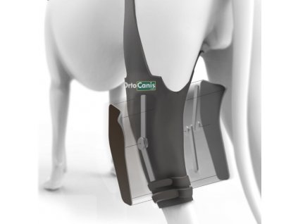 hinged knee brace