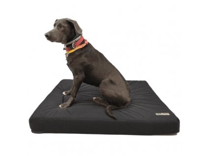 orthopedic bed old dogs
