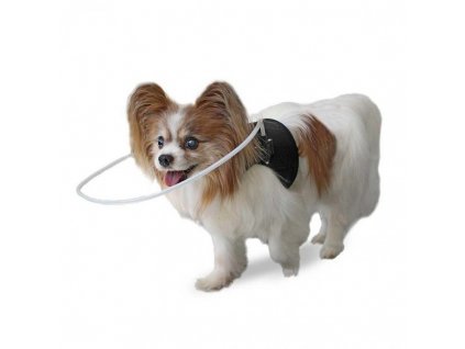 harness for blind dog