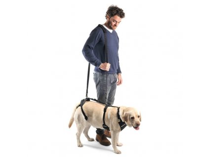 dog integral harness