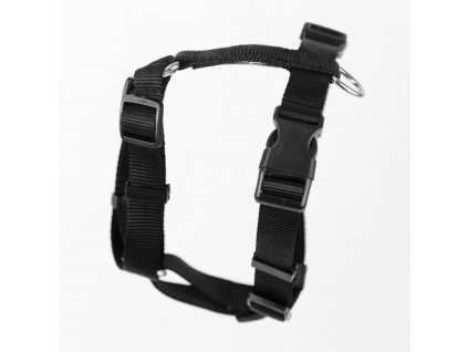 dog harness