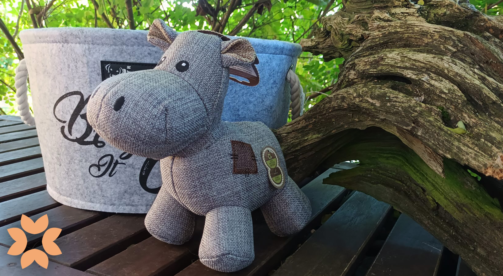 Country dog Hrošice "Bella" Country dog Hrošice "Bella"