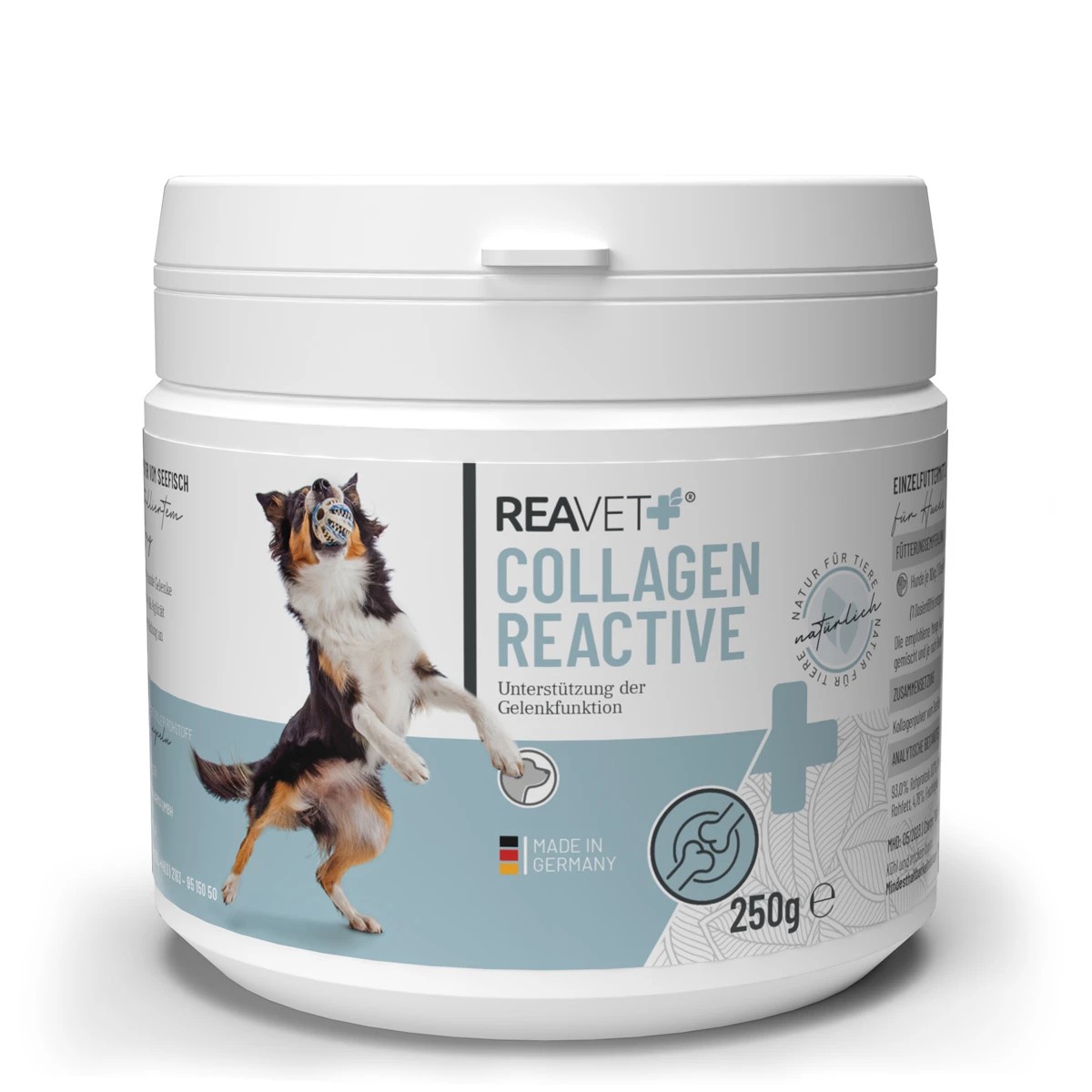 REAVET Kolagen Reactive pro zdravou funkci kloubů a kostí (250 g)