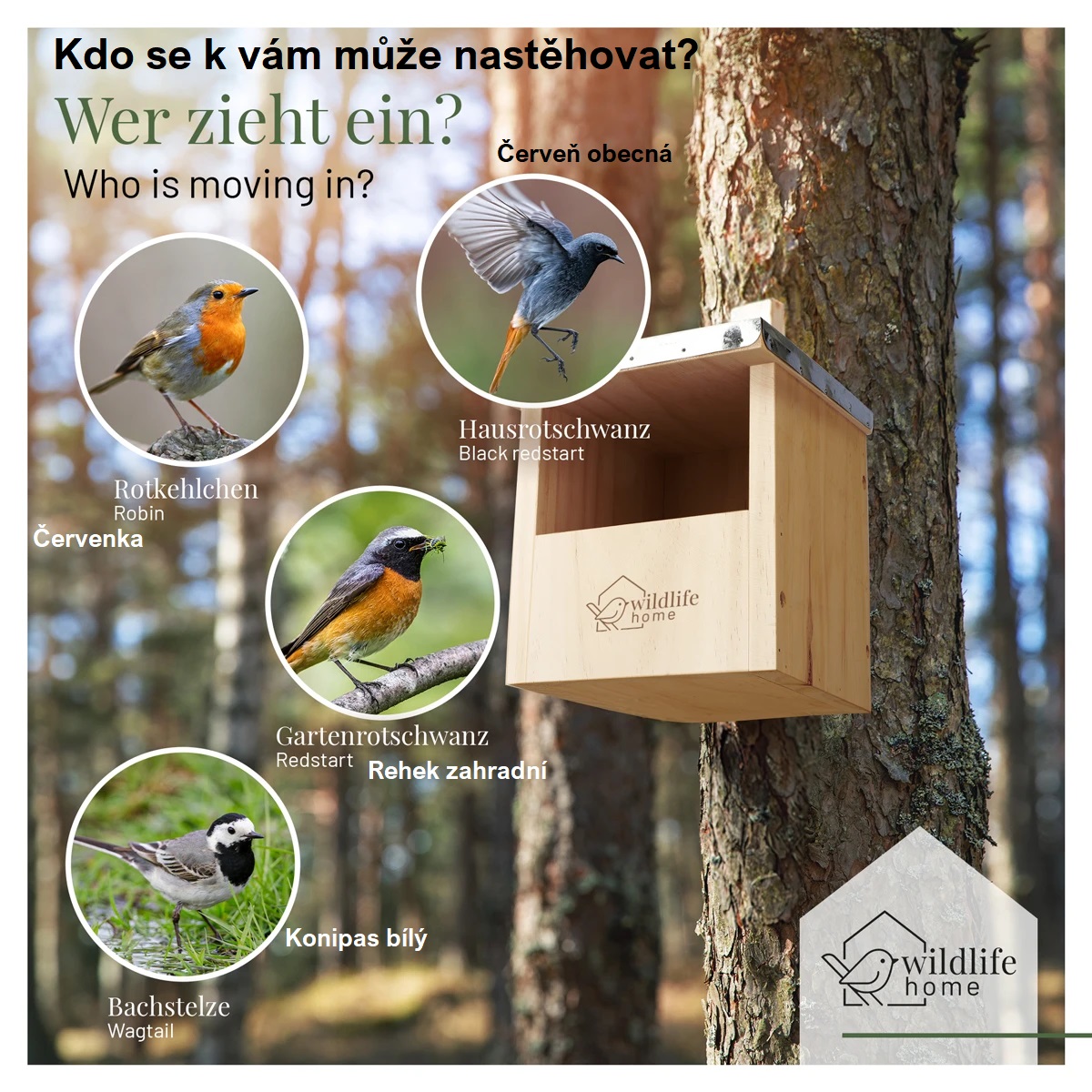 REAVET Polojeskynní budka s plechovou střechou