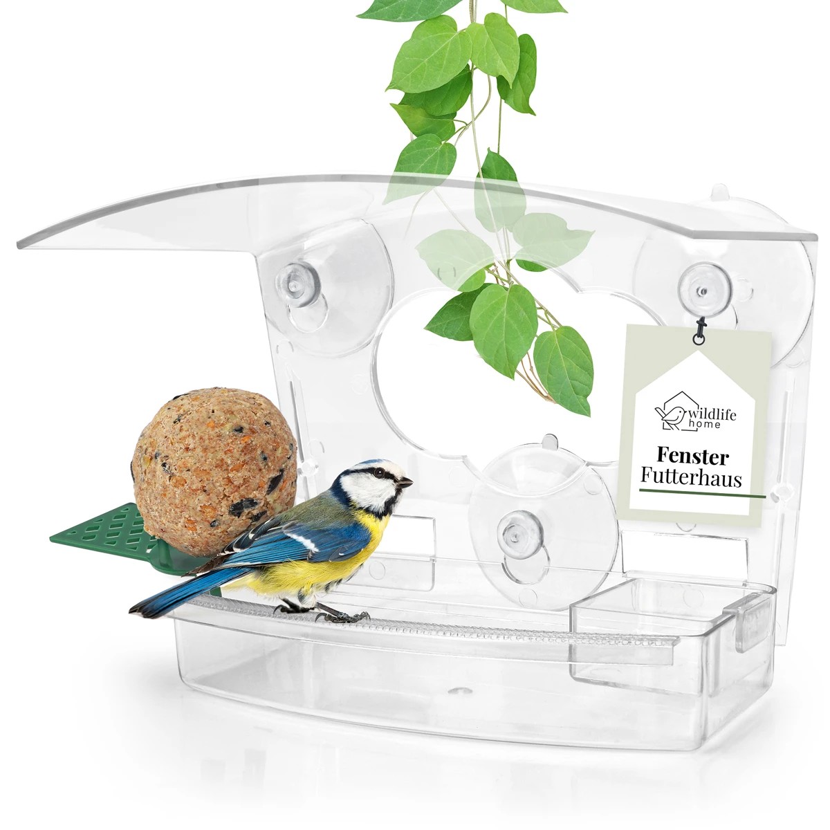 REAVET Krmítko na okno 3v1 - ptačí zob, voda, lojová koule