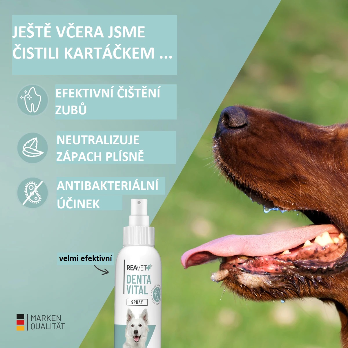 REAVET Denta Vital sprej pro snadnou péči o zuby (120 ml)