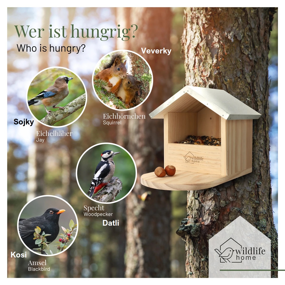 REAVET Univerzální krmítko pro ptáky a veverky z borovicového dřeva, s kovovou střechou