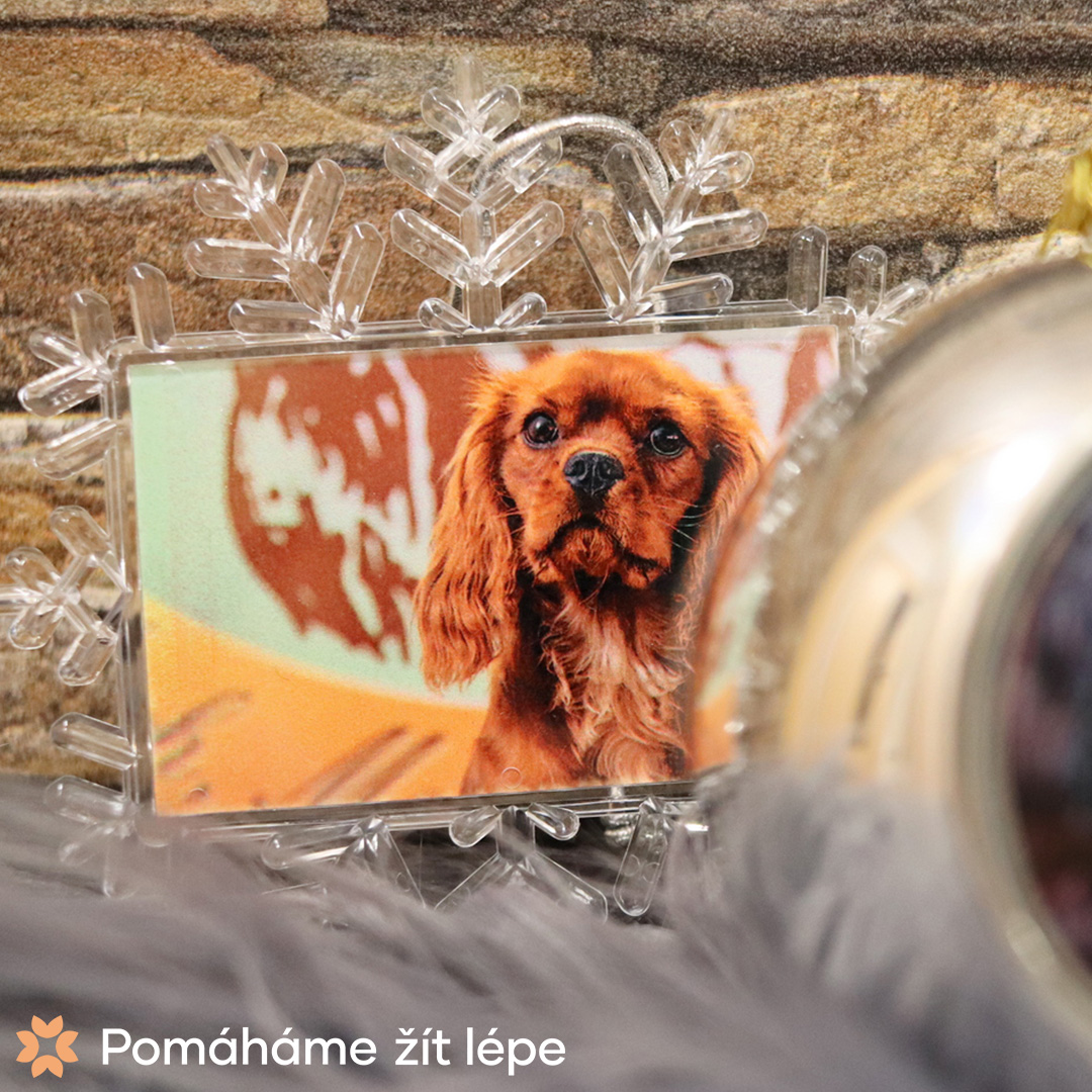 Pomáháme žít lépe Sněhová vločka (vánoční ozdoba) s vlastním fotem - Ø 14 cm