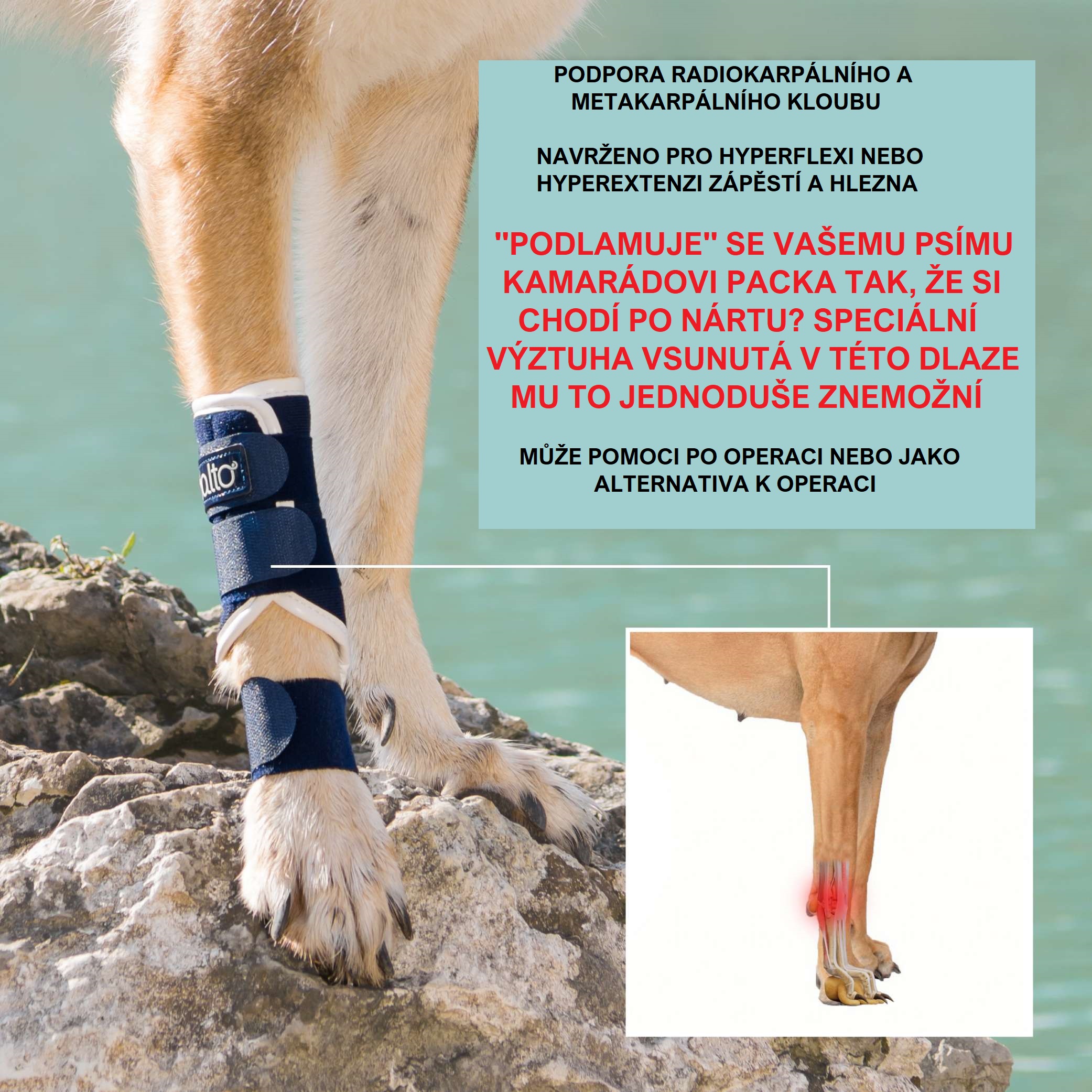 Balto BT dlaha na zápěstí i hlezno Velikost: XS