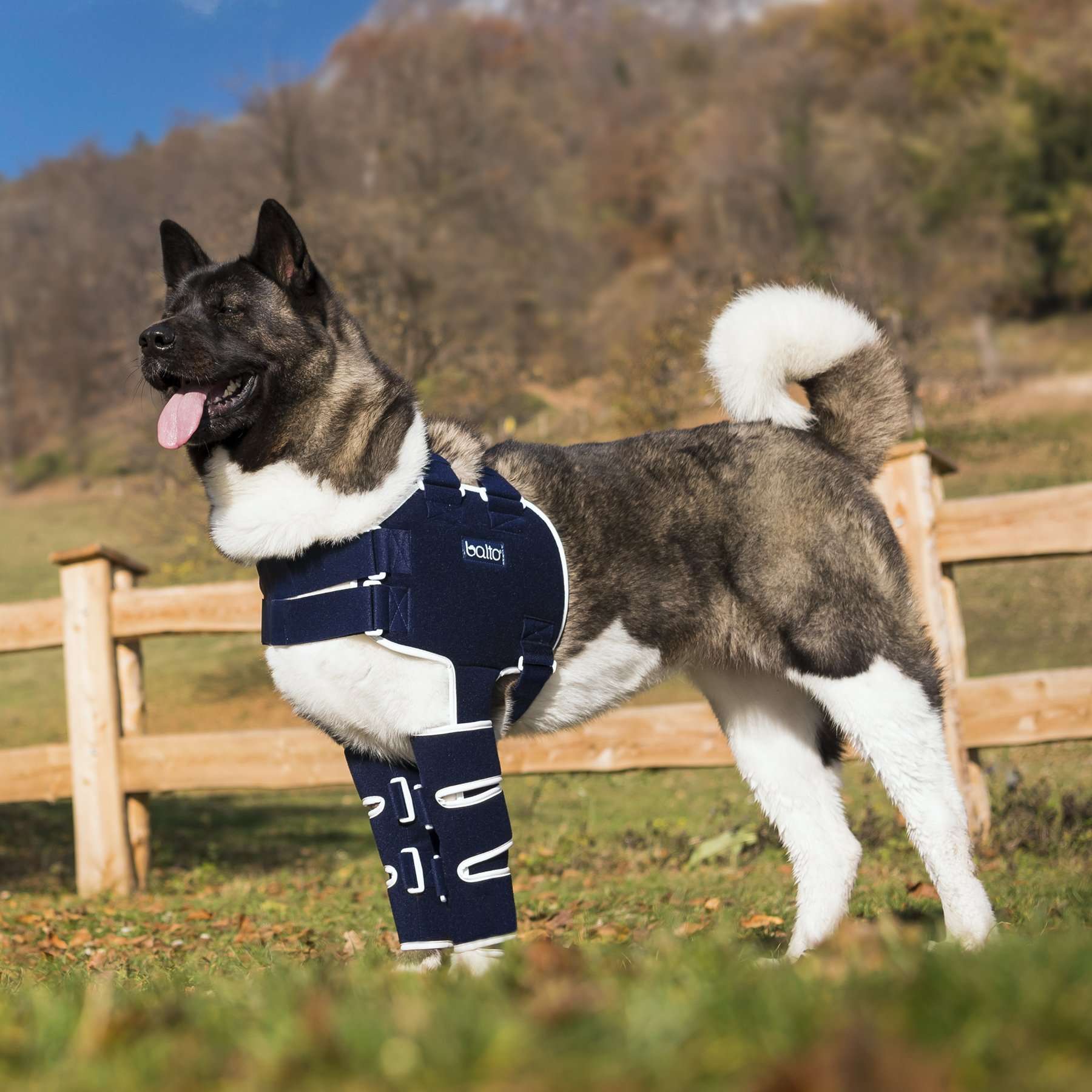 Balto BT ramenní ortéza Velikost: L