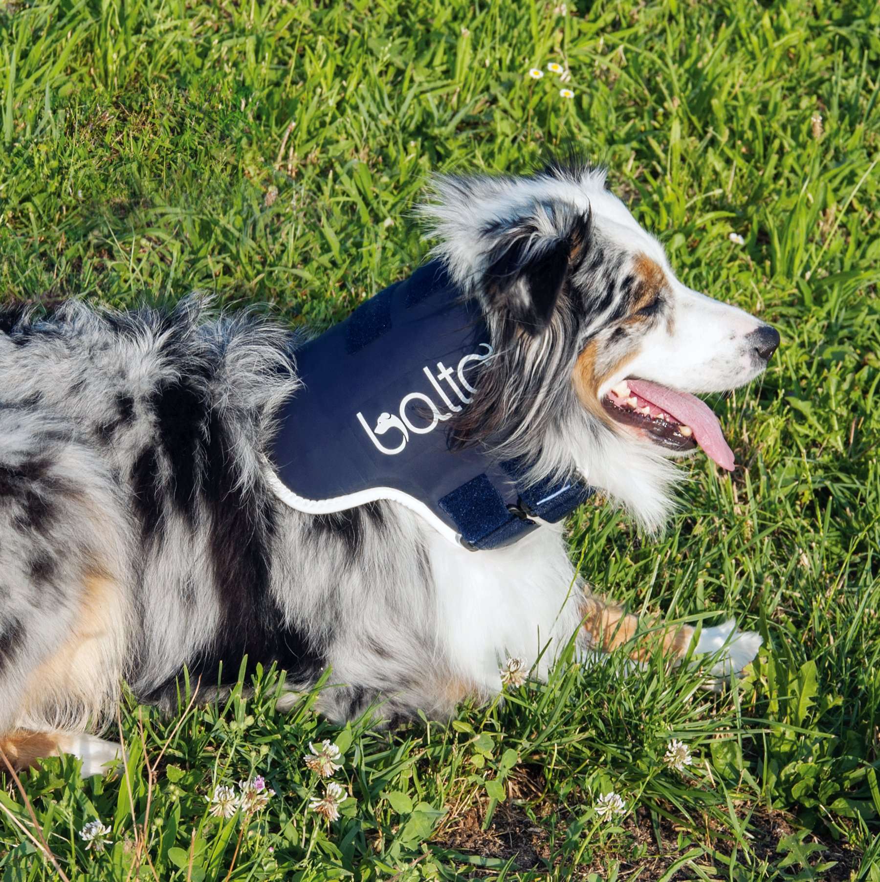 Balto BT pevná ortopedická krční ortéza Velikost: XXS