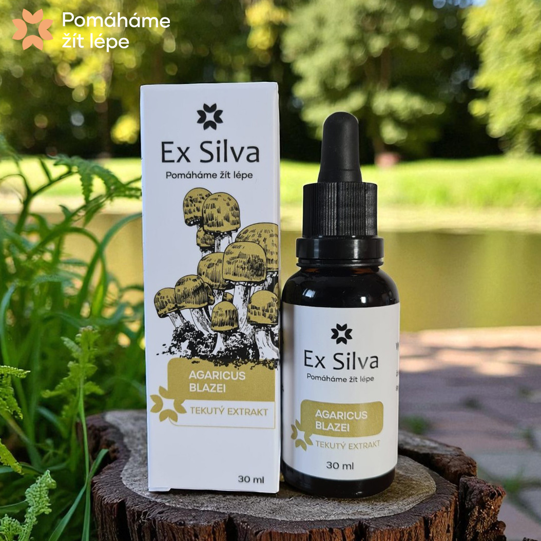 Agaricus blazei Ex Silva - Houba života (30 ml)