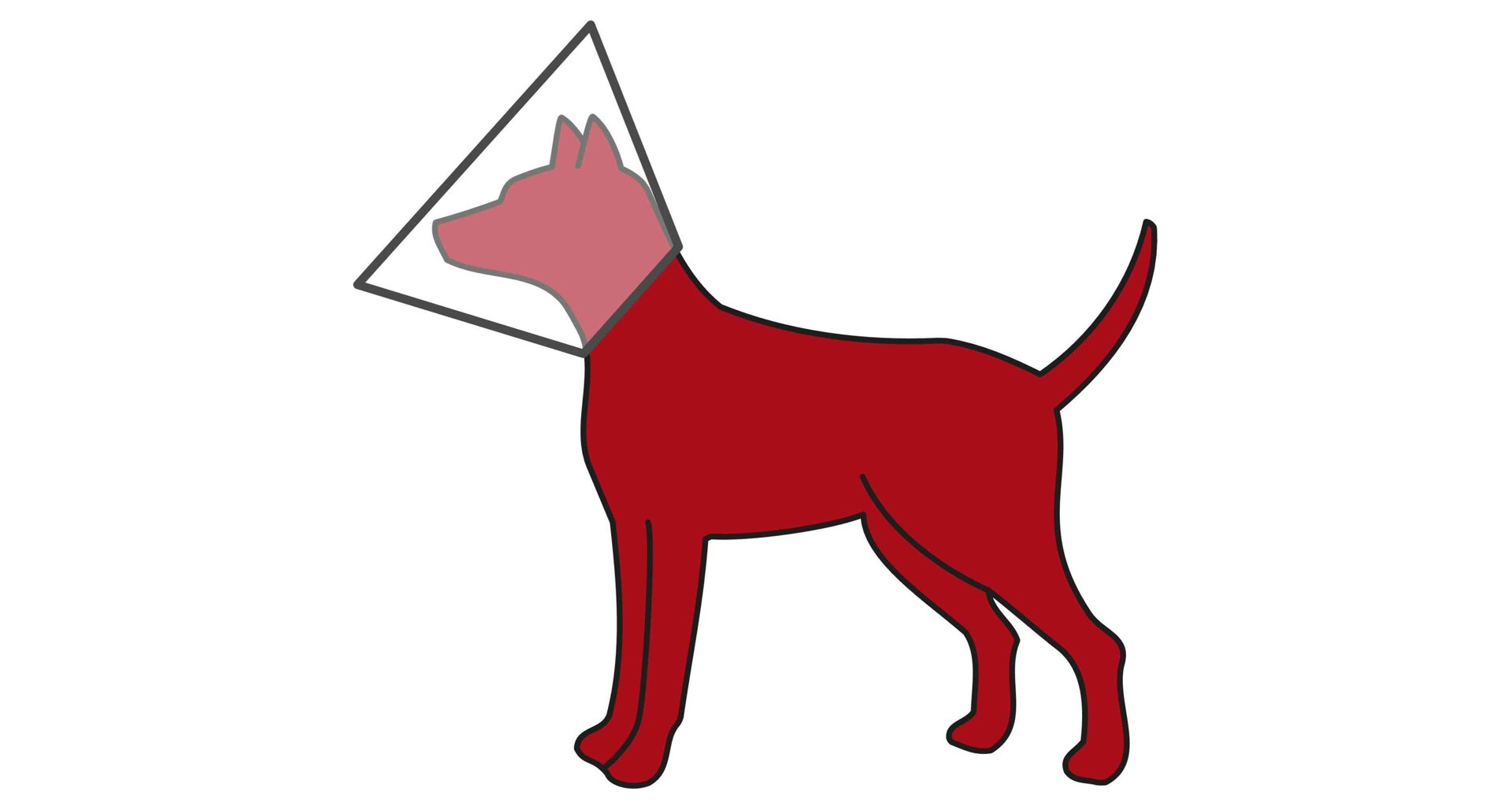 Trixie Ochranný límec se suchým zipem Velikost: XS