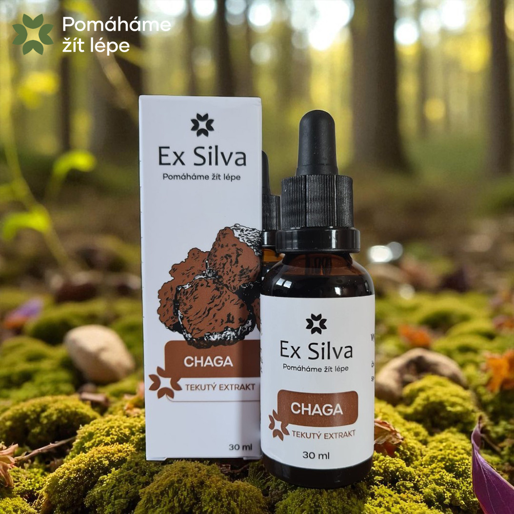 Chaga Ex Silva - Královna hub (30 ml)
