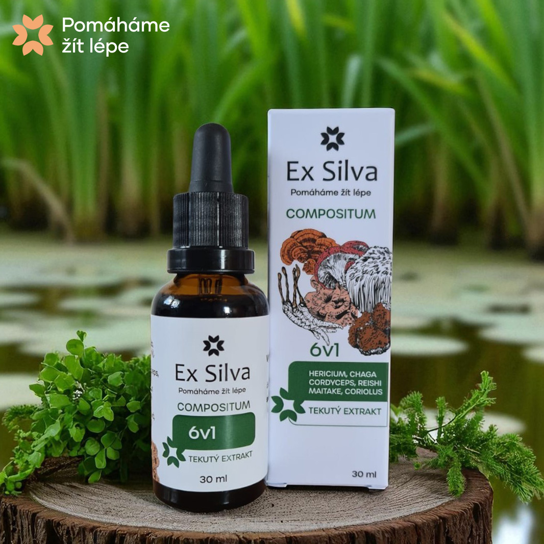 6v1 Compositum Ex Silva - vyvážená šestice vitálních hub (30 ml)