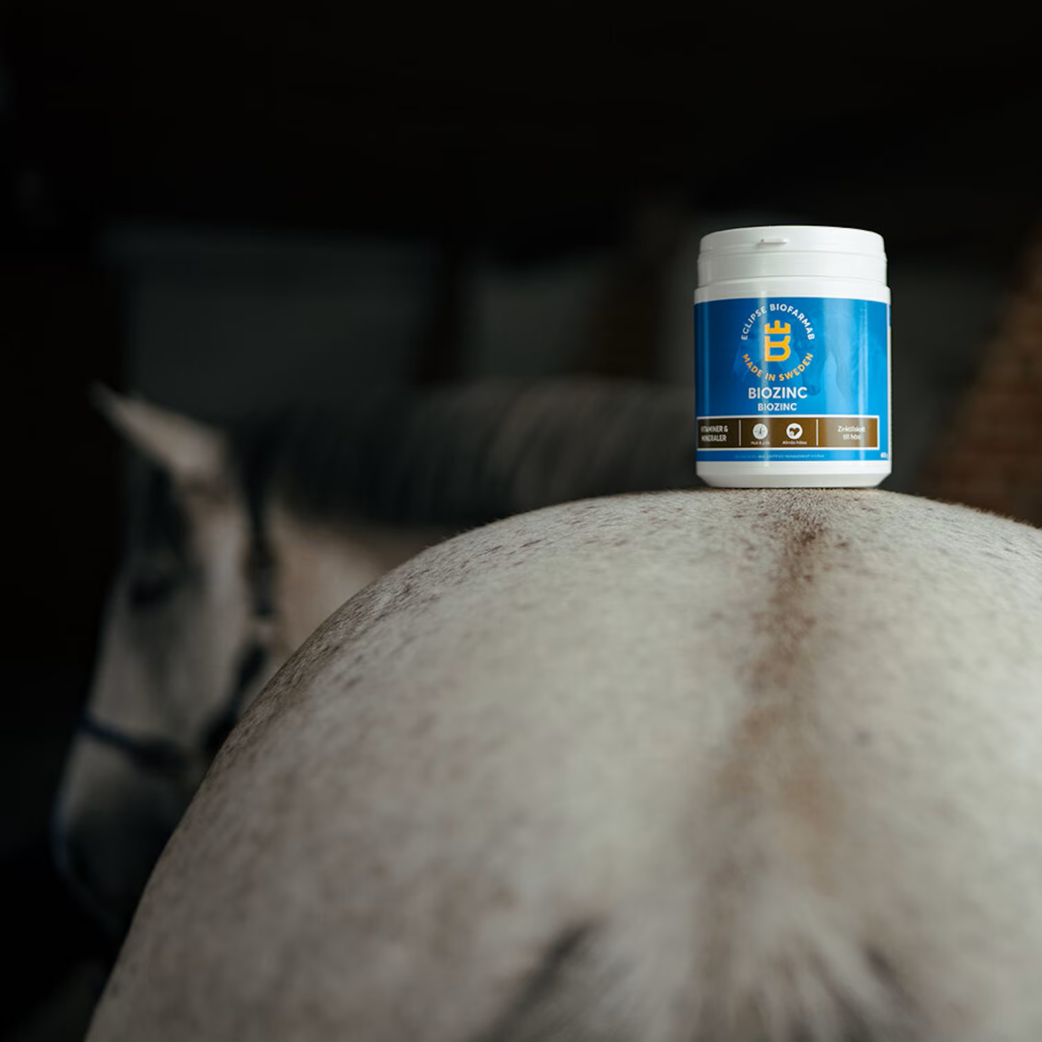 Eclipse Biofarmab BioZinek - doplněk krmiva s čistým zinkem (400 g)