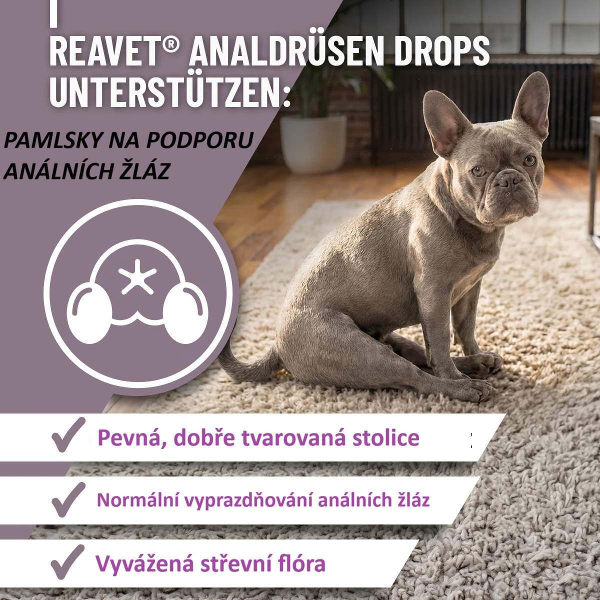REAVET Funkční pamlsky na anální žlázy (350g - 140 kusů)