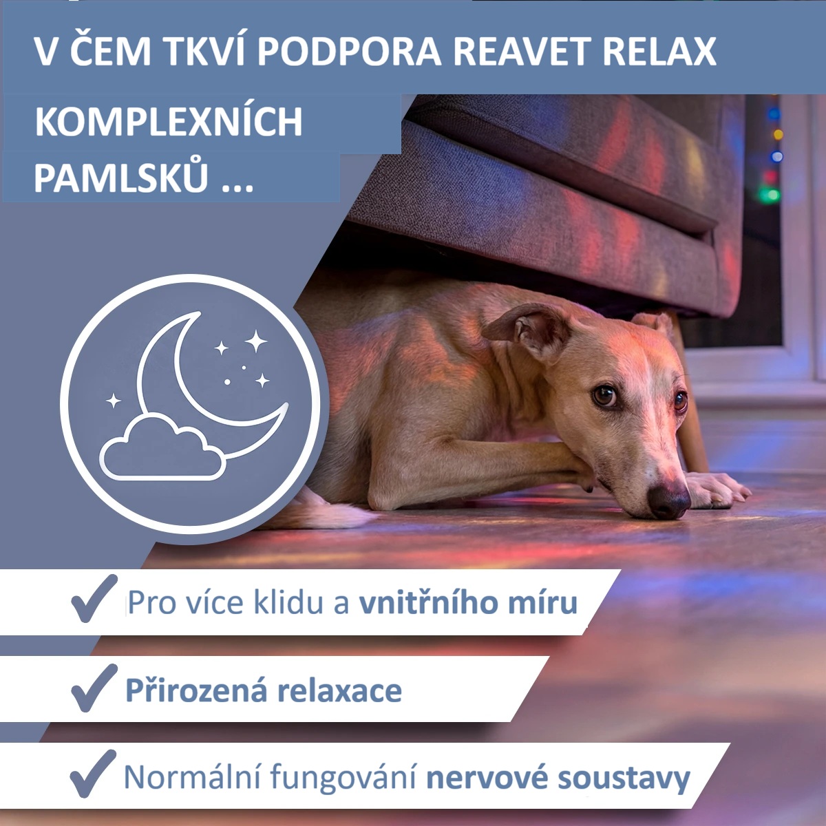 REAVET Funkční komplexní RELAX pamlsky (350g - 140 kusů)