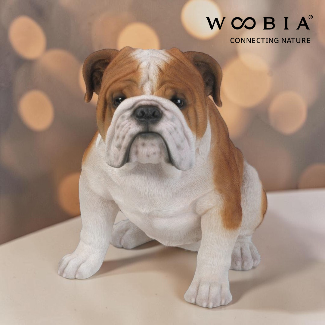 WooBia - Anglický buldok (Var."A")