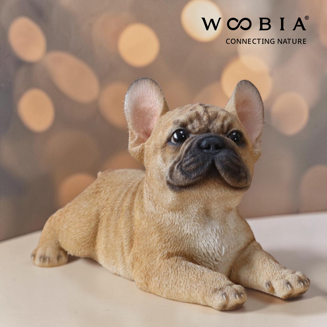 WooBia - Francouzský buldoček (Var."A")