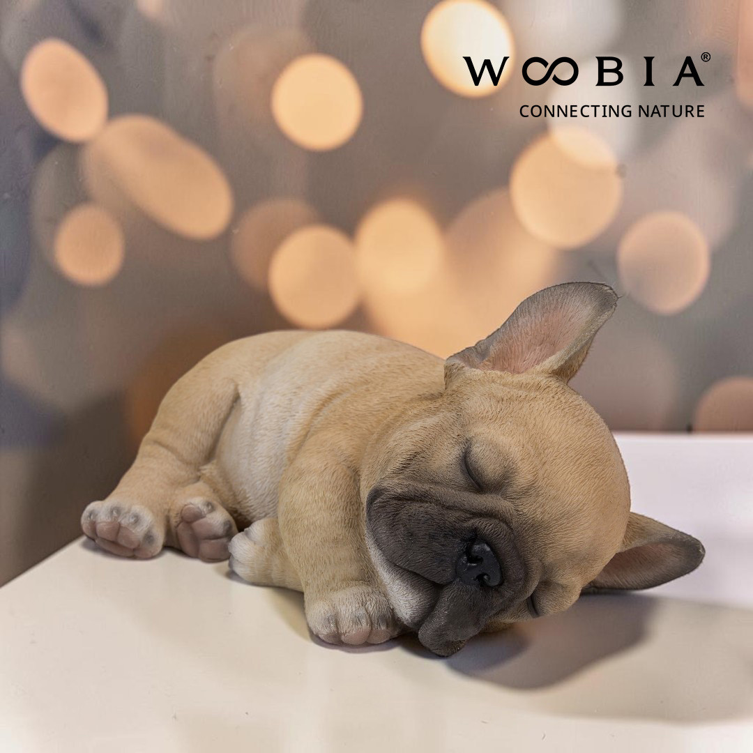 WooBia - Francouzský buldoček (Var."B")