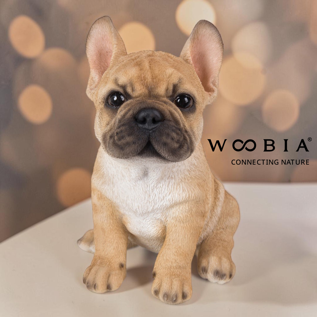 WooBia - Francouzský buldoček (Var."C")