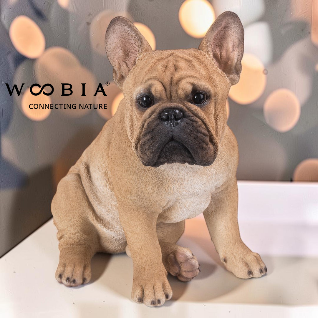 WooBia - Francouzský buldoček (Var."D")