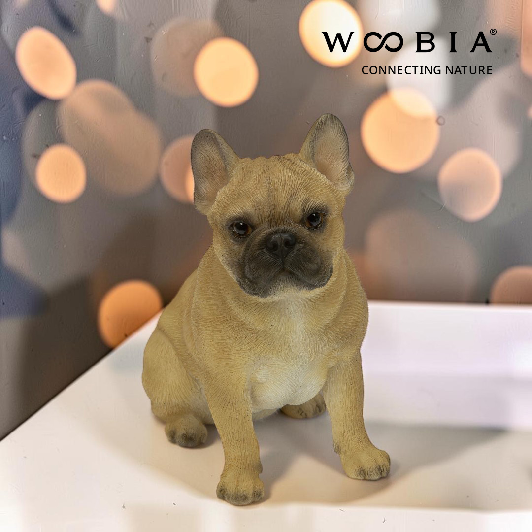 WooBia - Francouzský buldoček (Var."E")