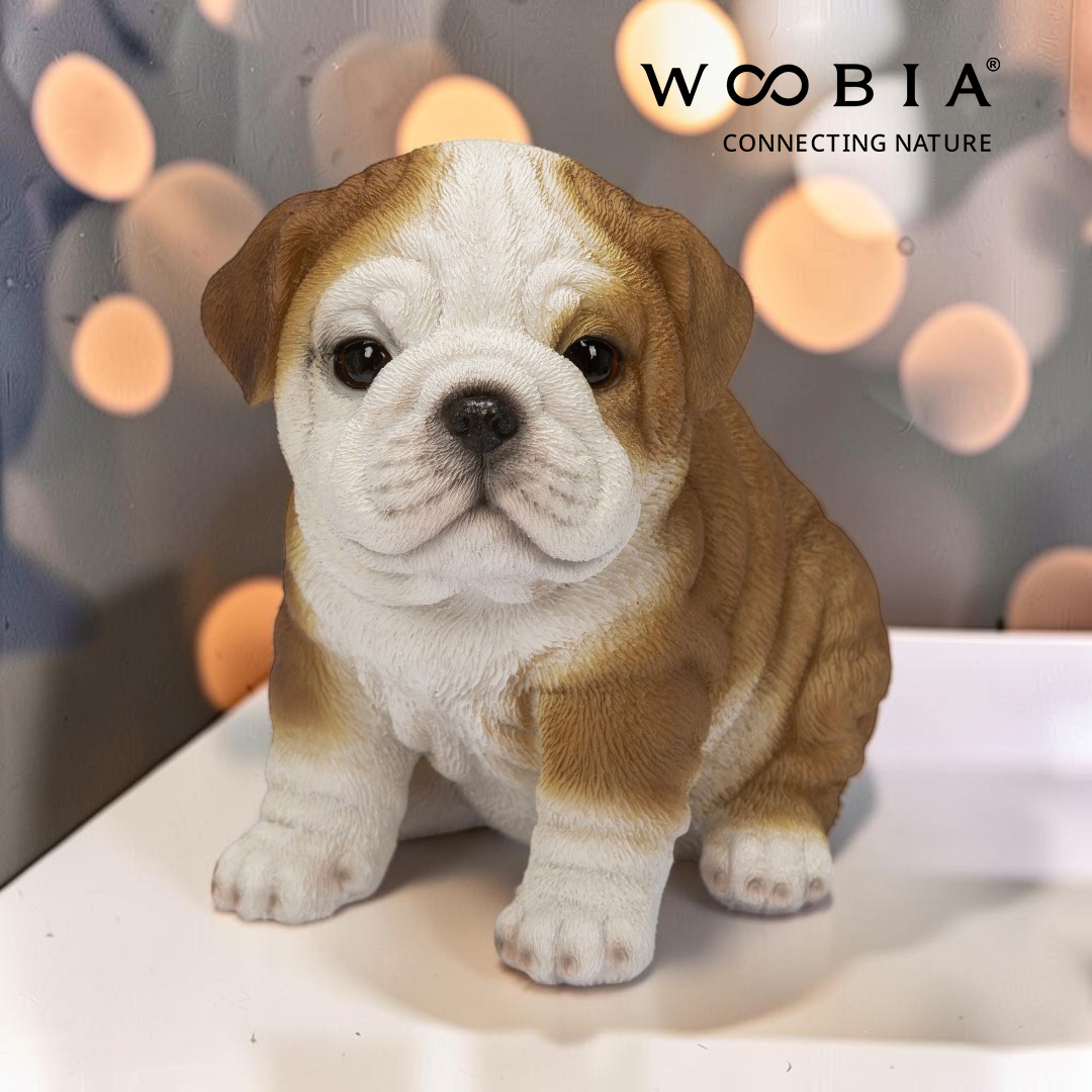 WooBia - Anglický buldok (Var."B")