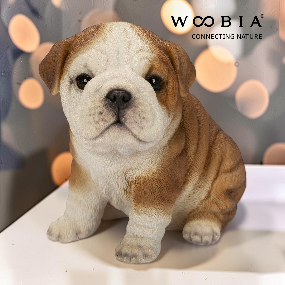 WooBia - Anglický buldok (Var."C")