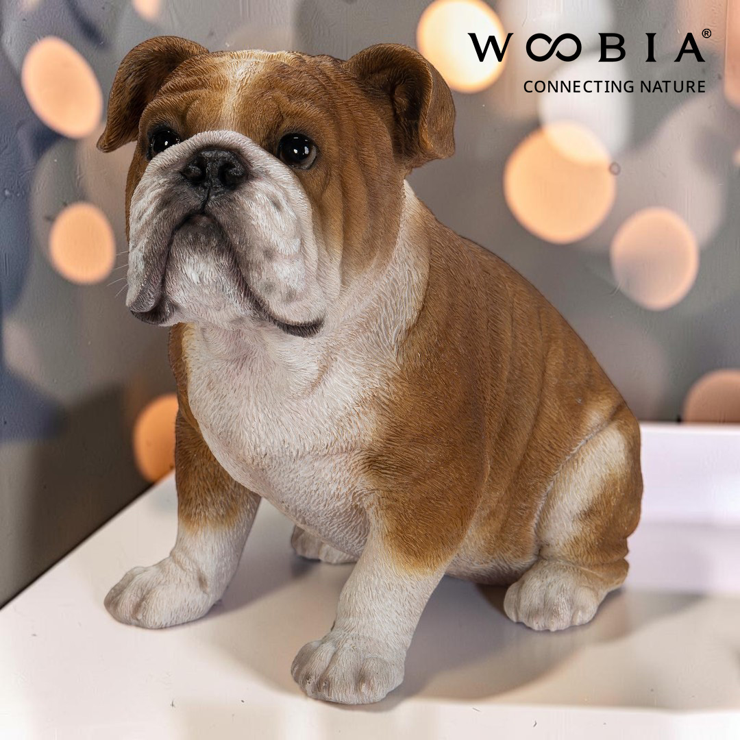 WooBia - Anglický buldok (Var."D")