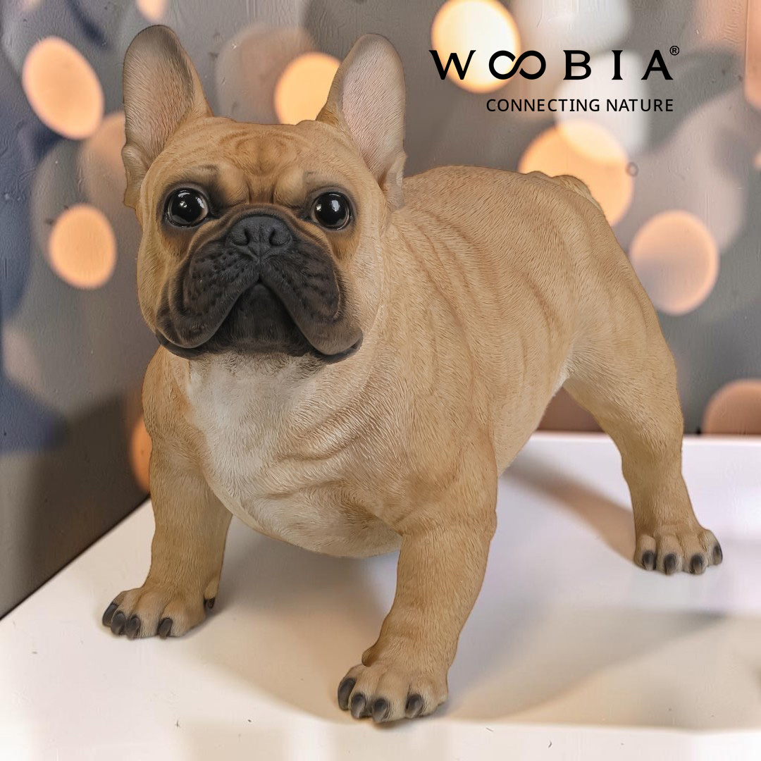 WooBia - Francouzský buldoček (Var."F")