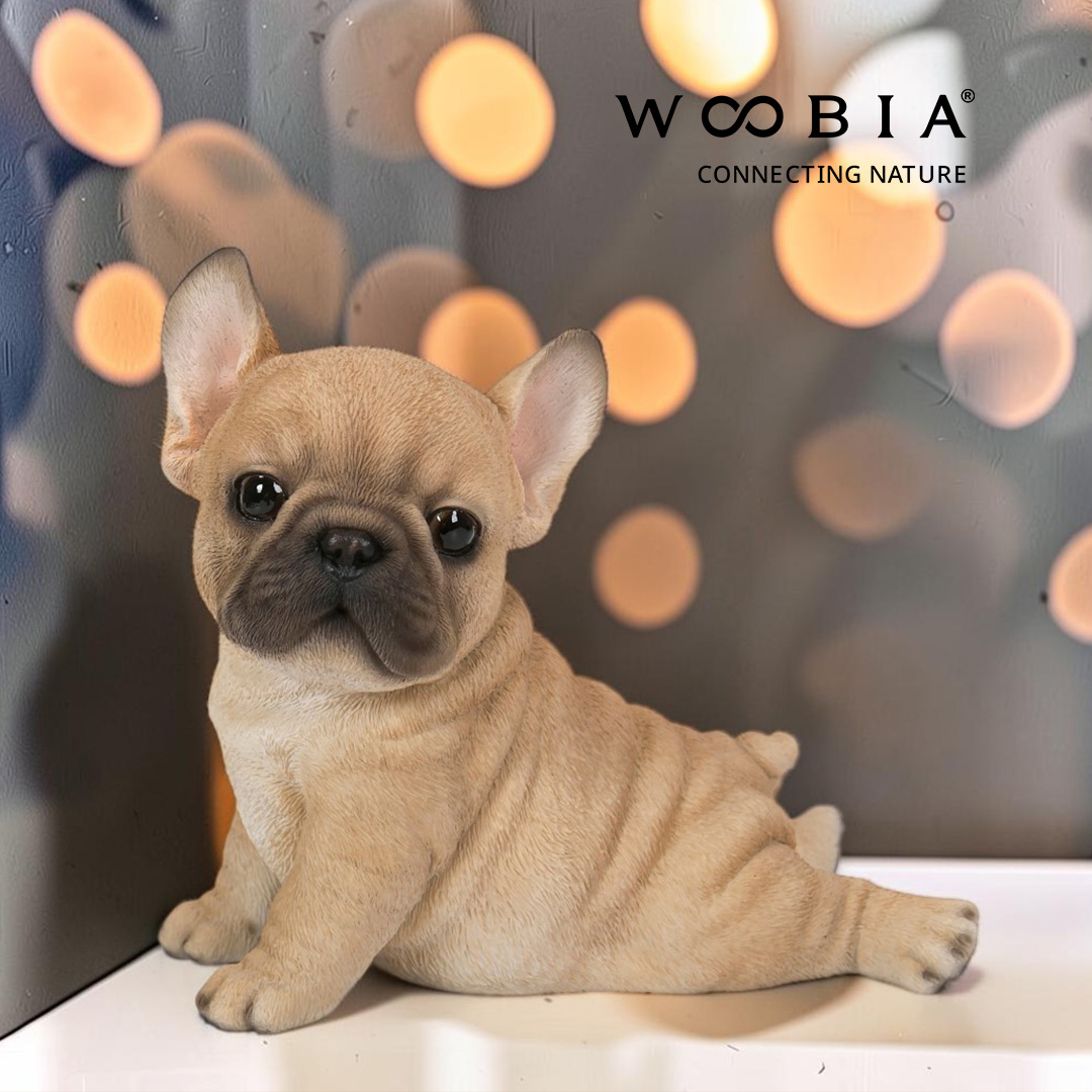 WooBia - Francouzský buldoček (Var."G")