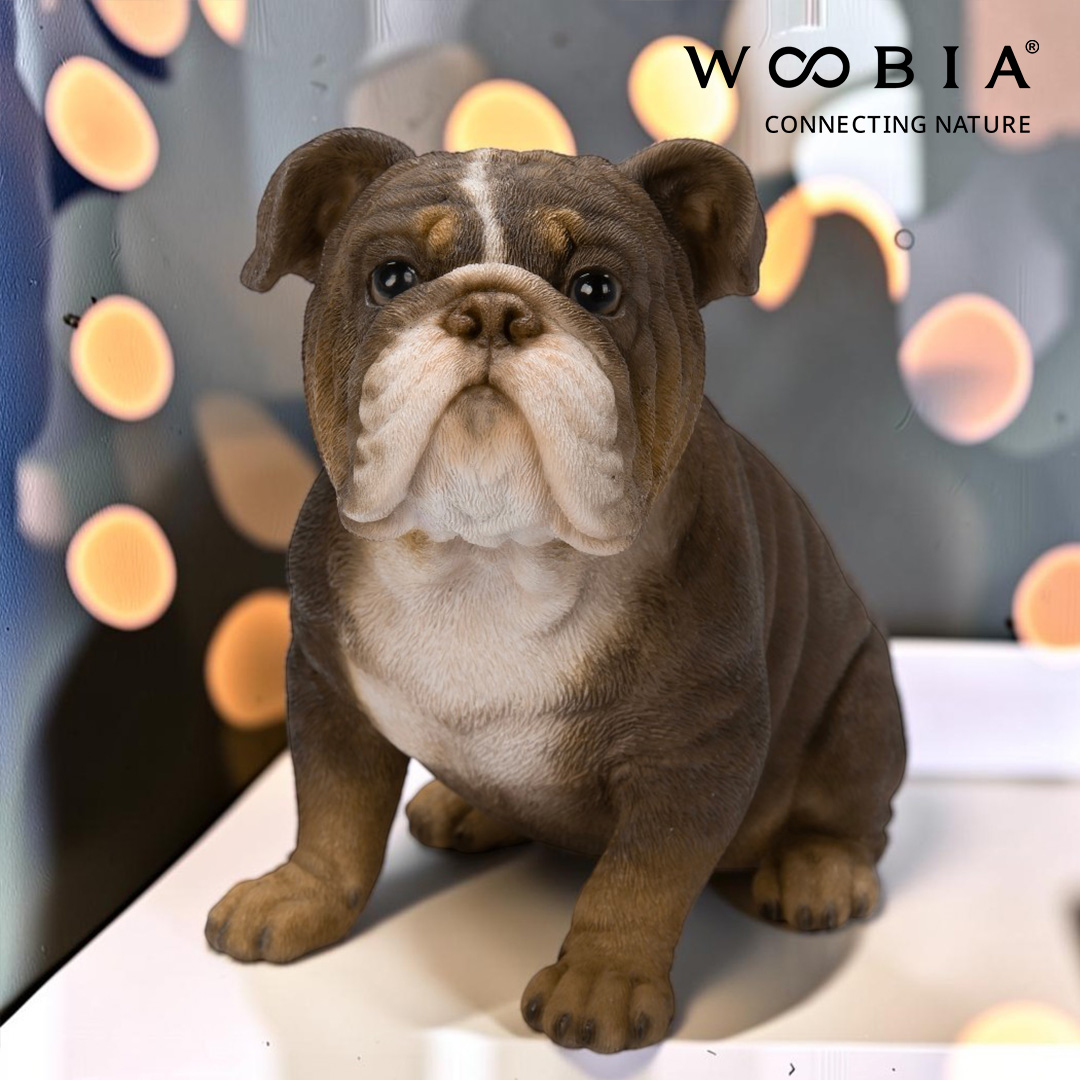WooBia - Anglický buldok (lila trikolor)