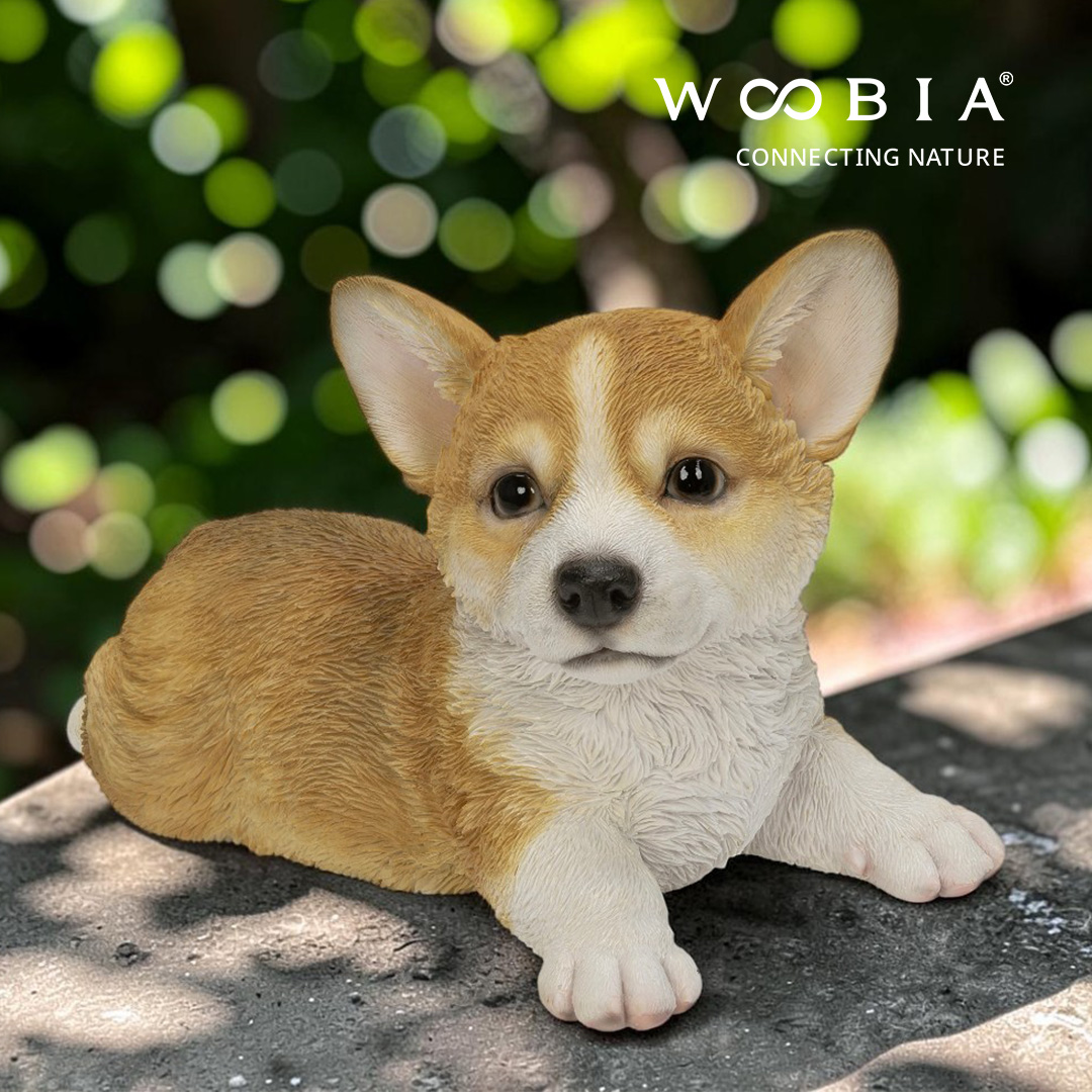 WooBia - Velšský corgi (Var."D")