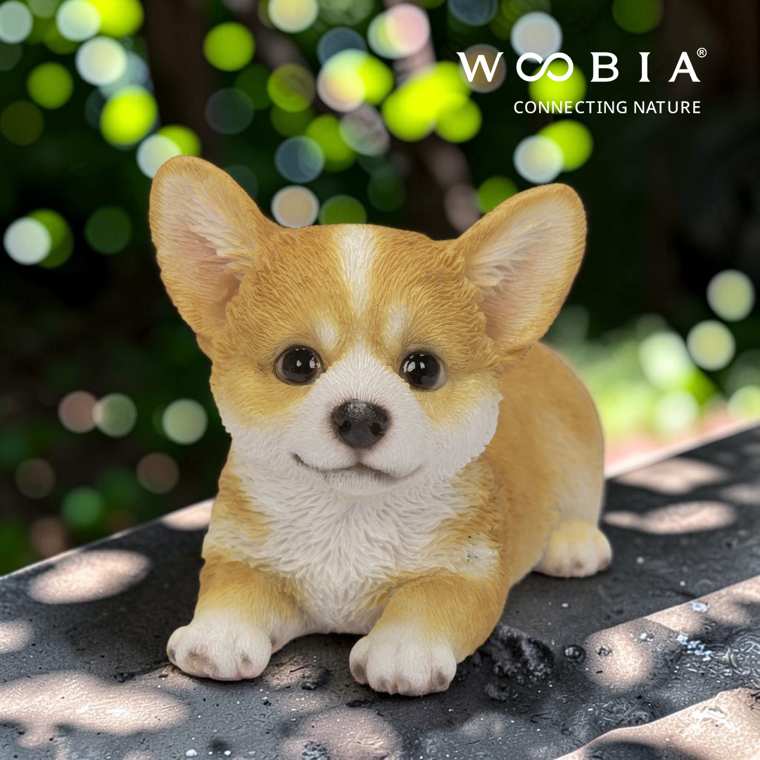 WooBia - Velšský corgi (Var."F")