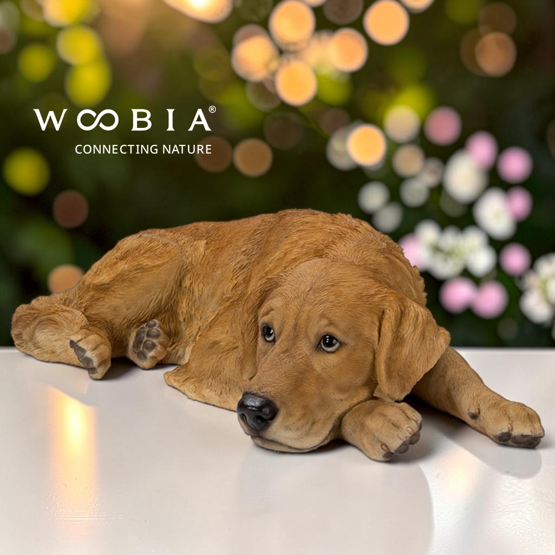 WooBia - Zlatý retrívr (Var."B")
