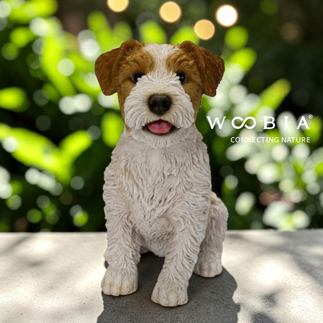 WooBia - Jack Russell teriér (Var."A")